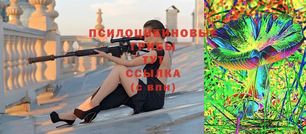 прущие грибы Алексин