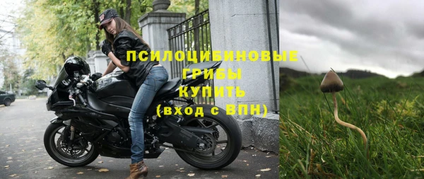 прущие грибы Алексин