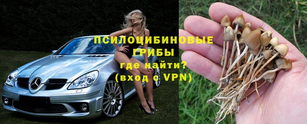 дурь Алексеевка