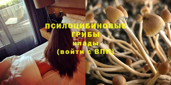 дурь Алексеевка