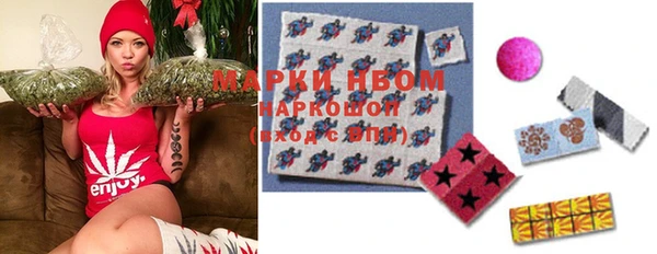 прущие грибы Алексин