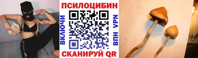 купить закладку  Ефремов  Псилоцибиновые грибы MAGIC MUSHROOMS 